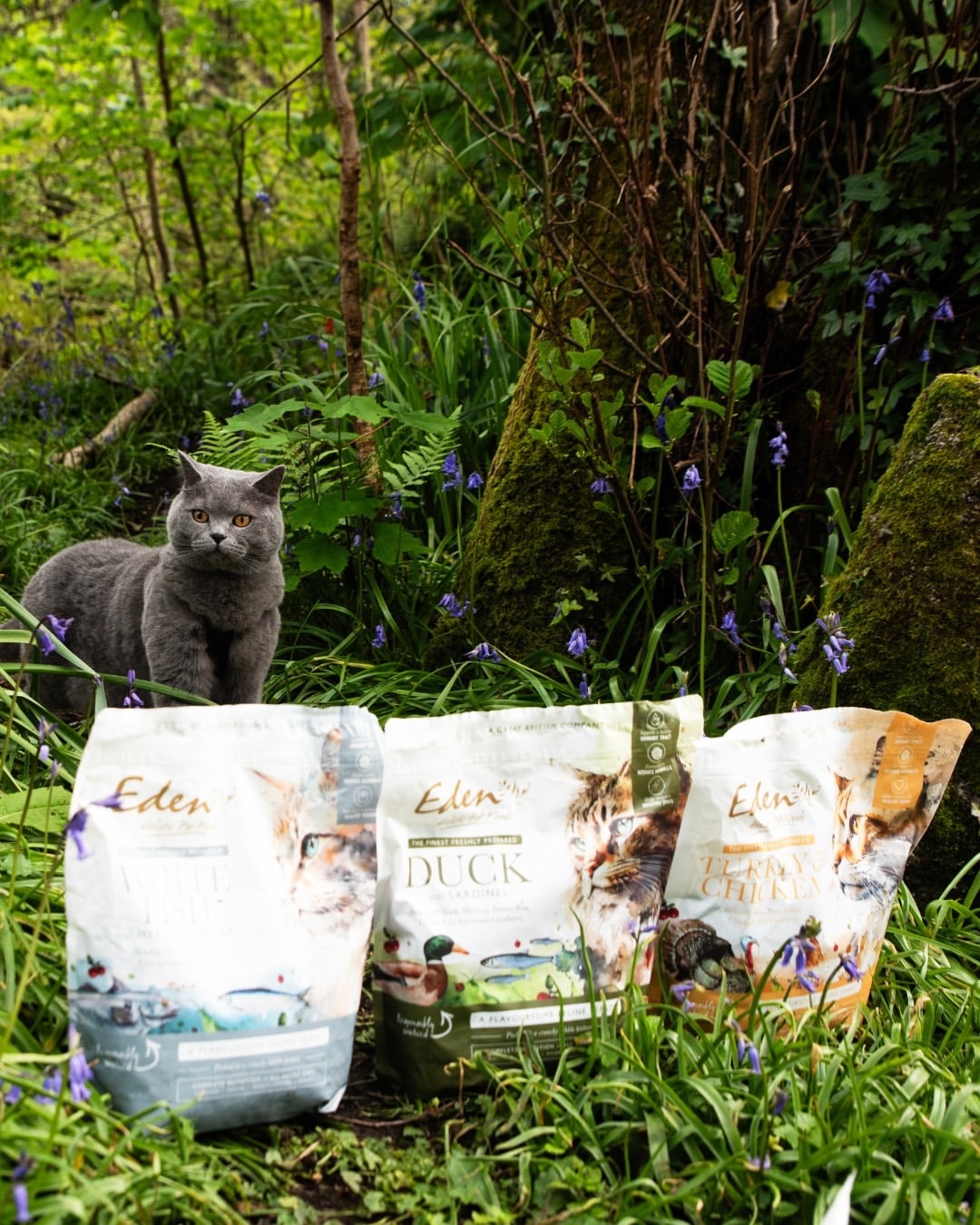 eden 貓糧