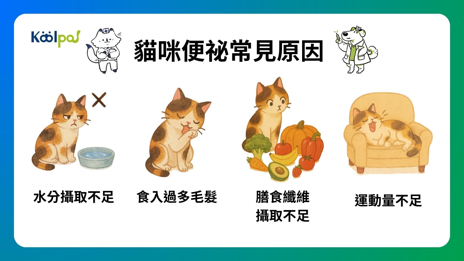 貓咪便秘常見原因