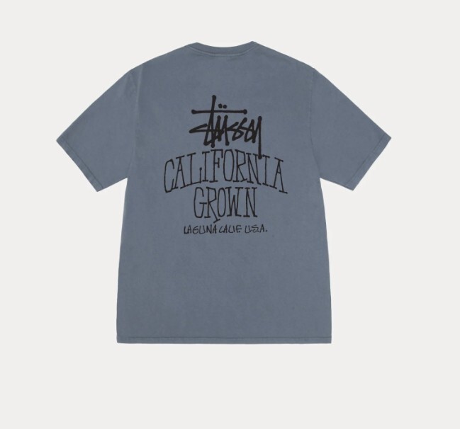 現貨 Stussy CALI GROWN TEE PIGMENT DYED 加州