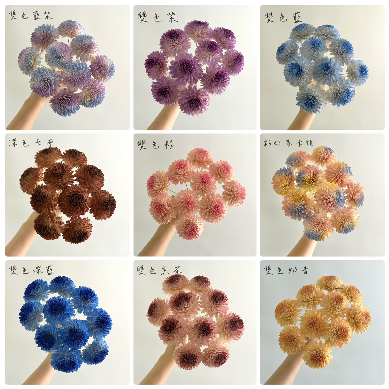 越南索拉花 大理菊 6CM <十支一把>