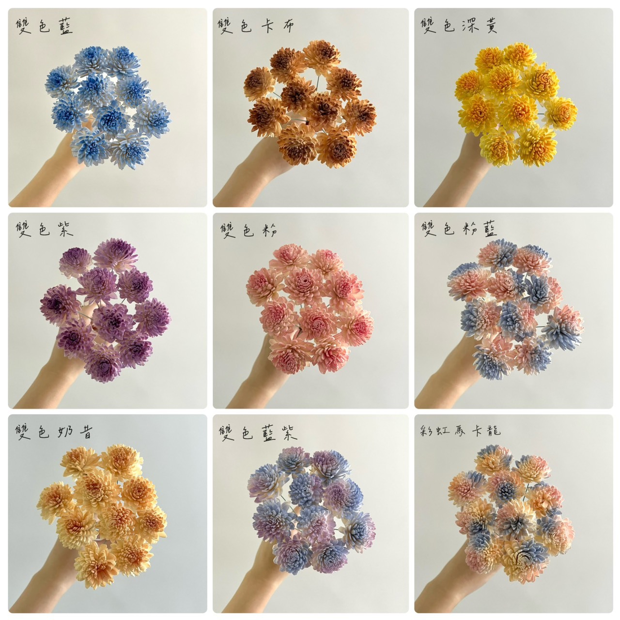 越南索拉花 大理菊 4CM <十支一把>