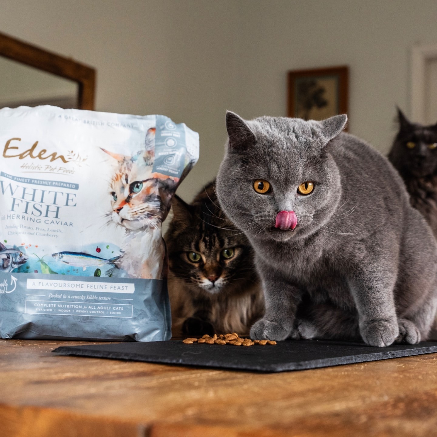 英國 Eden 鮮肉無穀 (白身魚+鯡魚魚子醬) 全貓糧 1.5kg