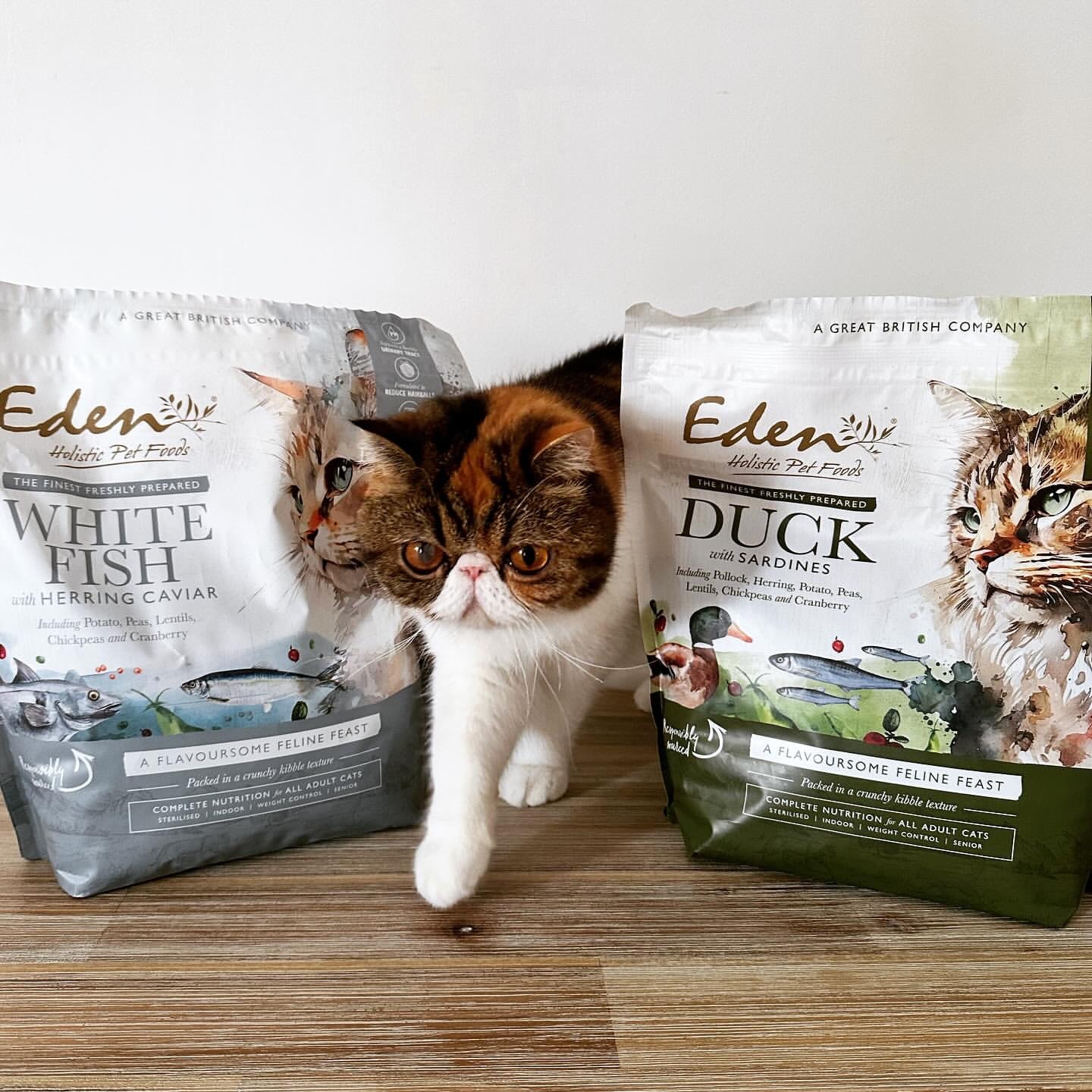 eden 貓糧