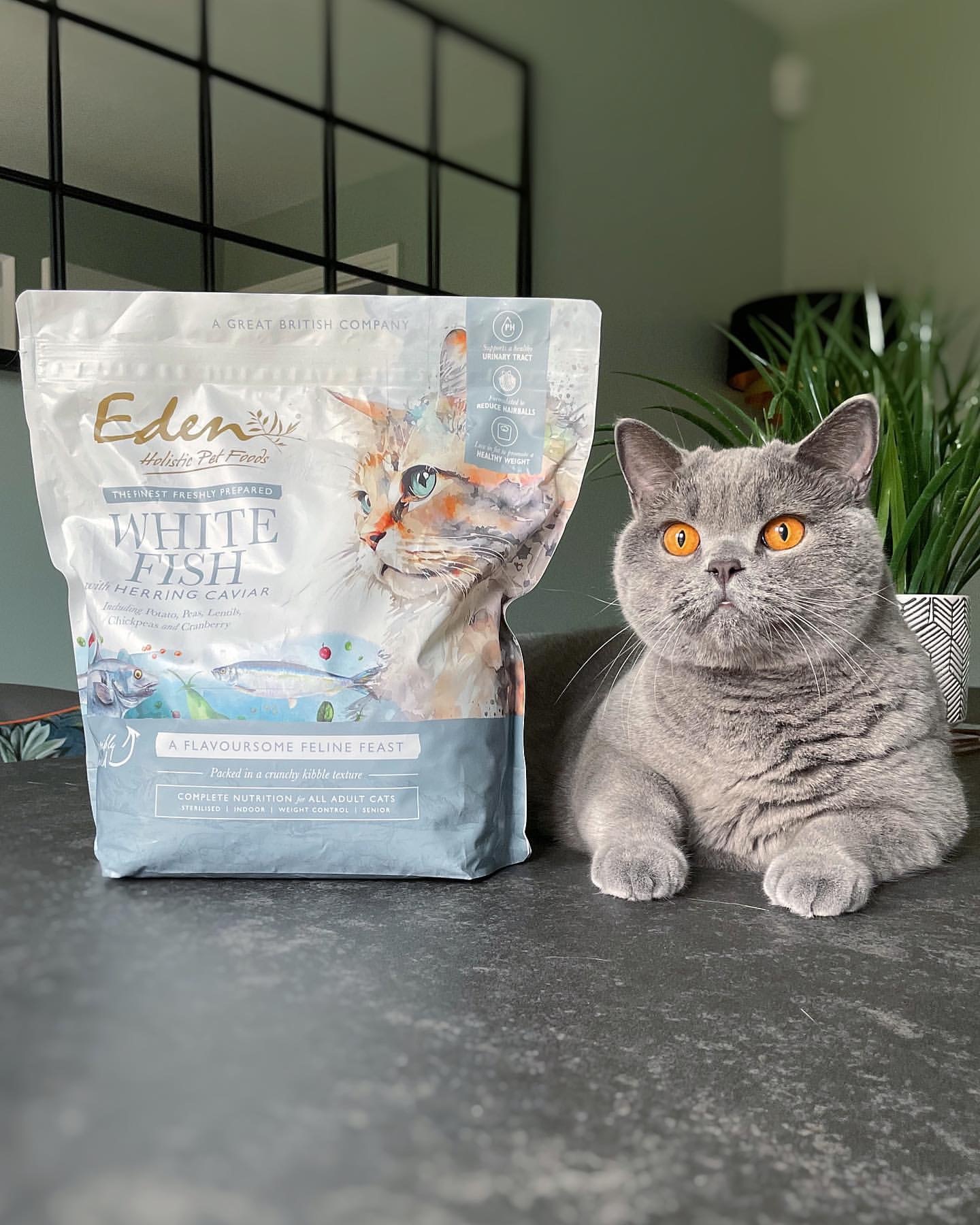 英國 Eden 鮮肉無穀 (白身魚+鯡魚魚子醬) 全貓糧 1.5kg