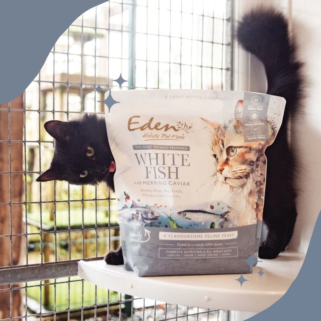 英國 Eden 鮮肉無穀 (白身魚+鯡魚魚子醬) 全貓糧 1.5kg