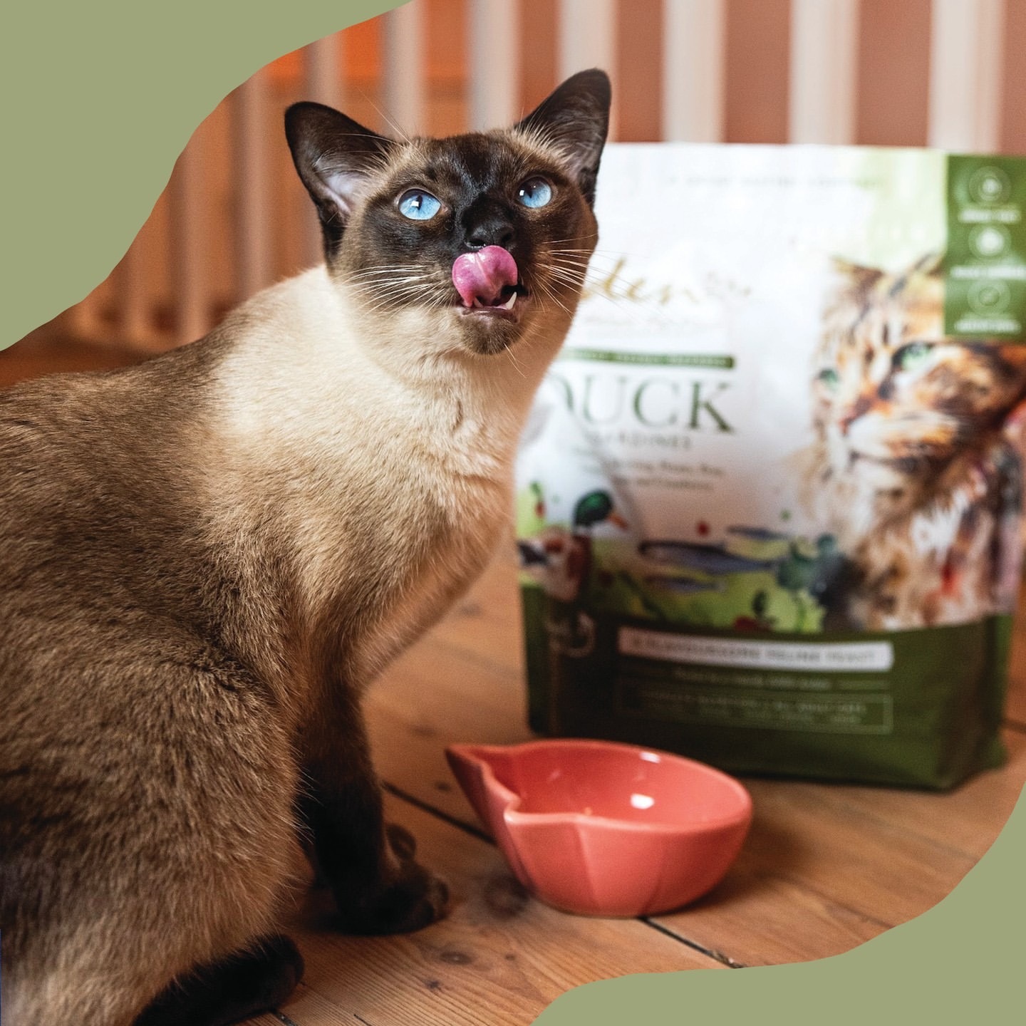 英國 Eden 鮮肉無穀 (鴨肉+沙丁魚) 全貓糧 1.5kg