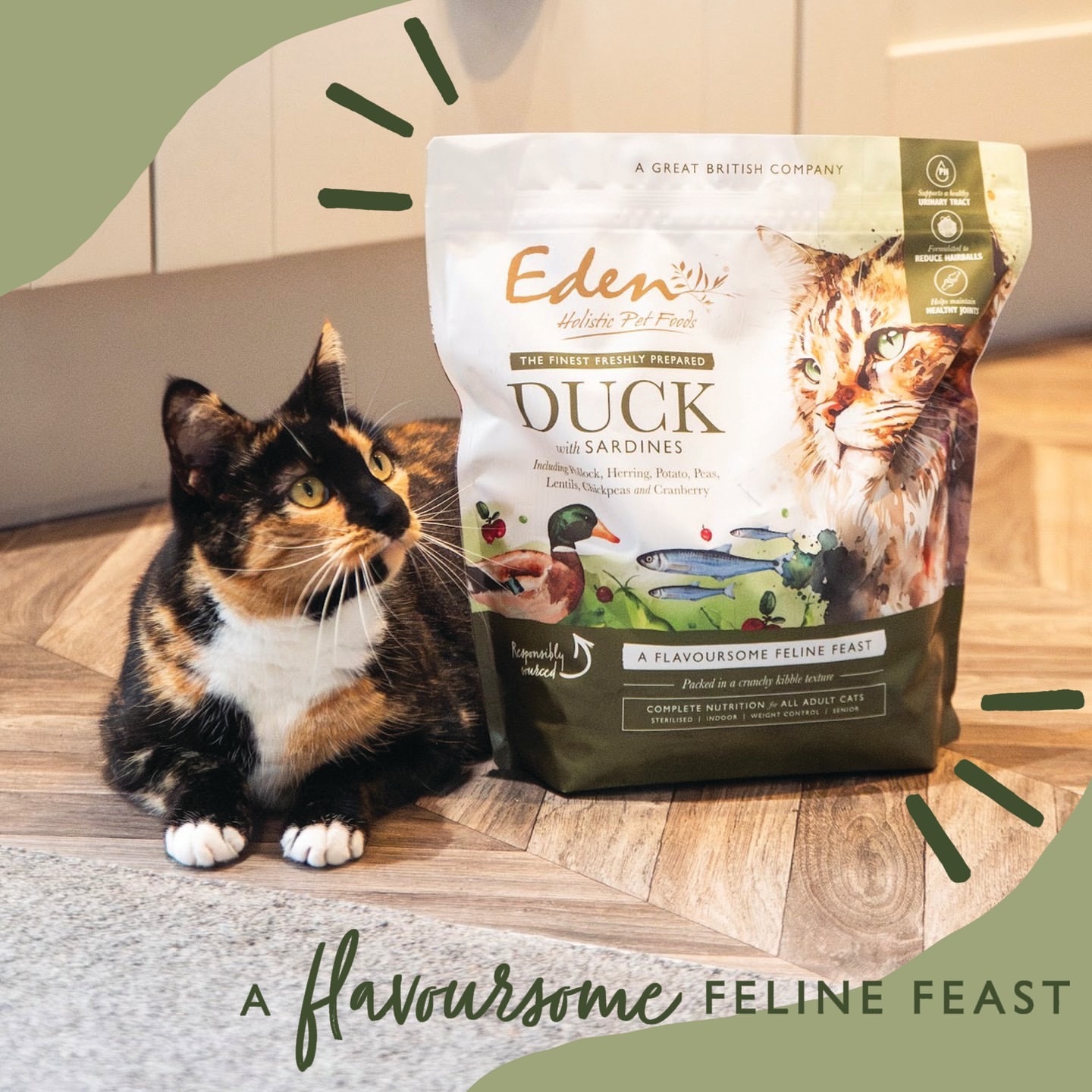 英國 Eden 鮮肉無穀 (鴨肉+沙丁魚) 全貓糧 1.5kg