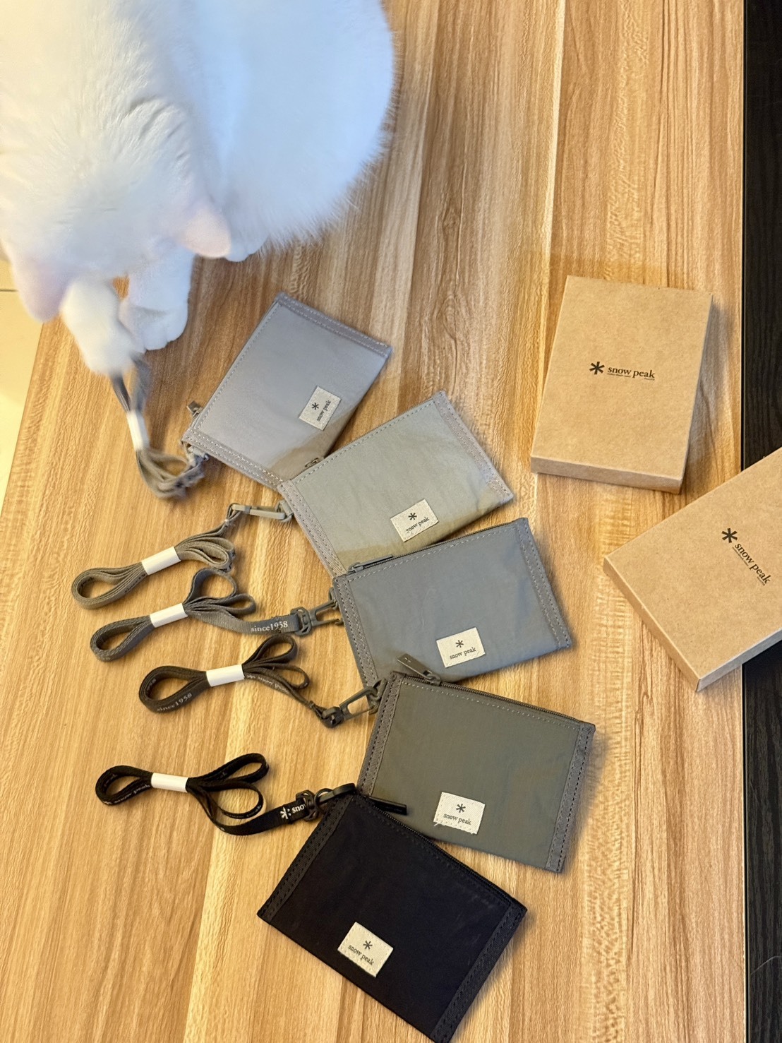 【Snow Peak 】多功能掛脖零錢包 證件夾 卡片夾 小包日系機能風 輕巧隨身收納袋 登山露營旅行適用 Aug25