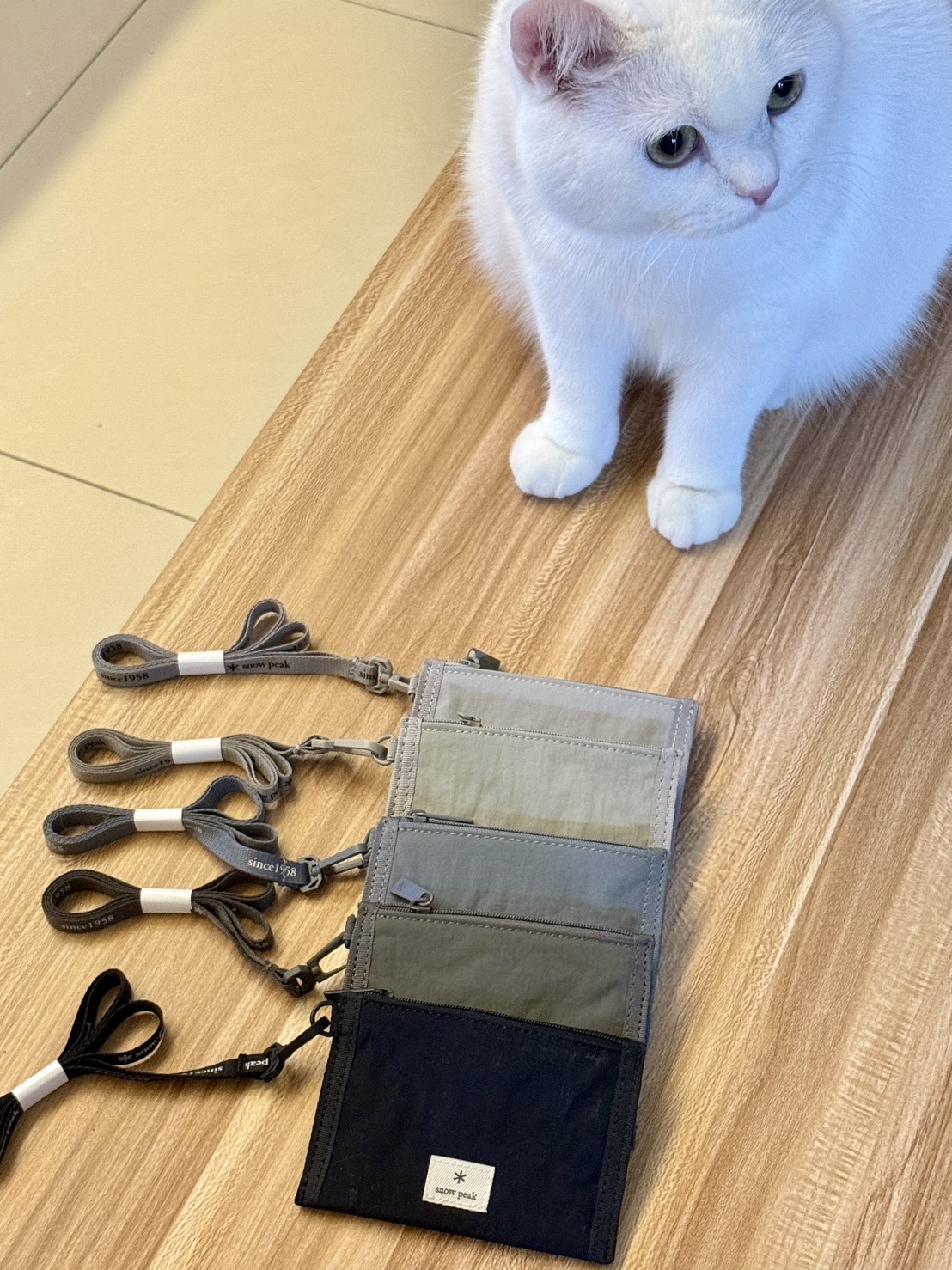 【Snow Peak 】多功能掛脖零錢包 證件夾 卡片夾 小包日系機能風 輕巧隨身收納袋 登山露營旅行適用 Aug25