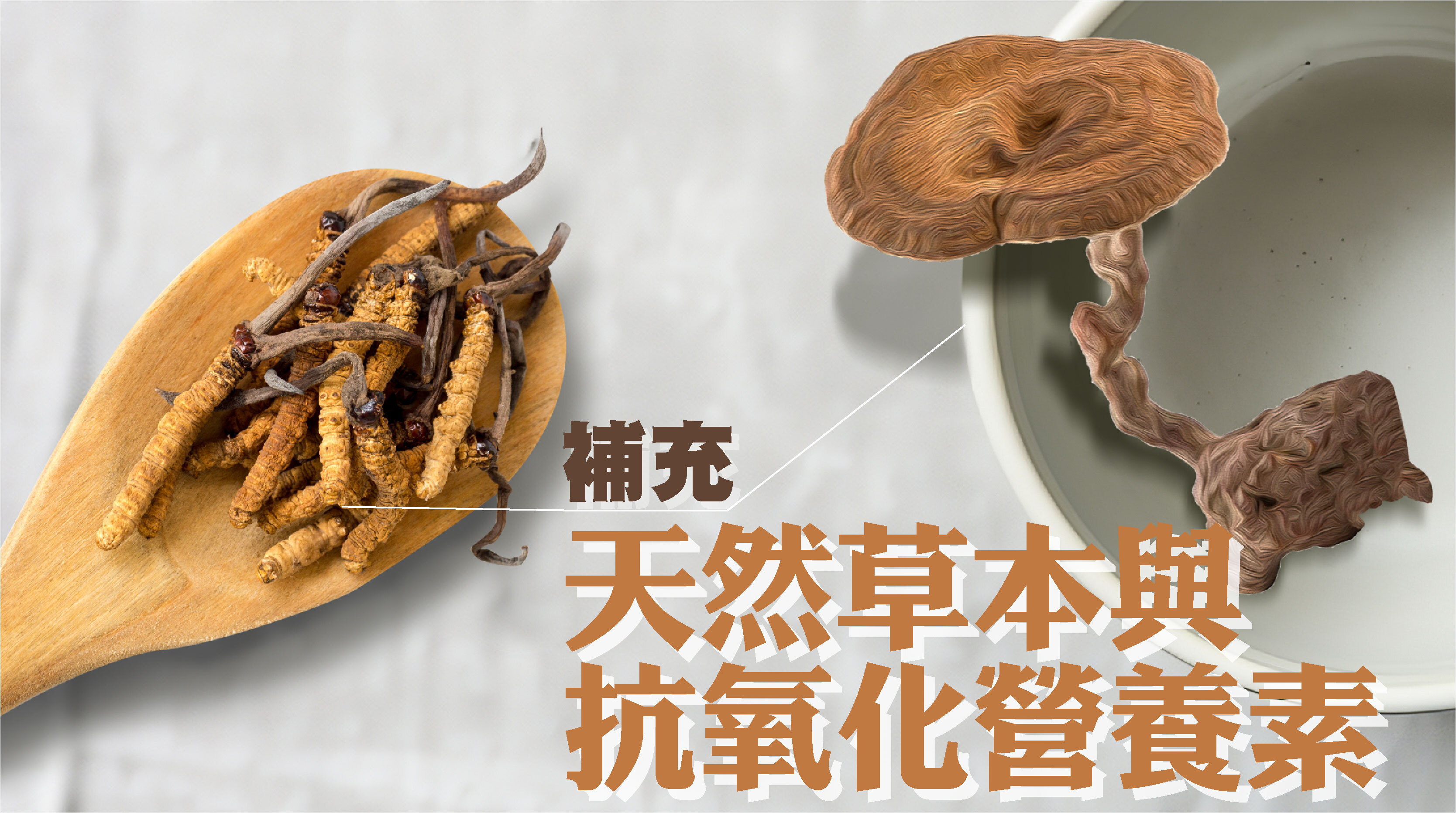 · 補充天然草本與抗氧化營養素: 服用虎乳芝, 冬蟲夏草及與抗氧化成分，幫助改善氣管狀態，抵禦外來病毒，增強免疫力