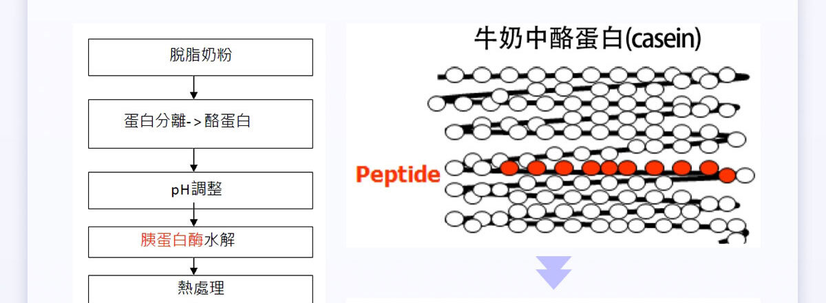 想要快樂因子就吃不蕉律-嚴萃保健-40