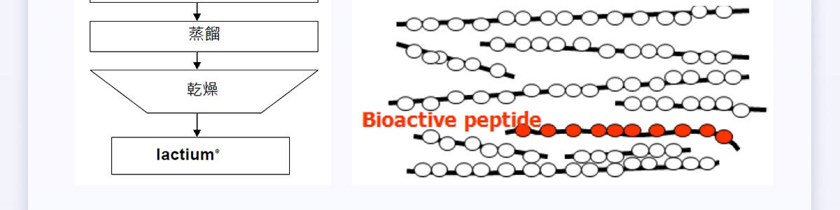 想要快樂因子就吃不蕉律-嚴萃保健-41