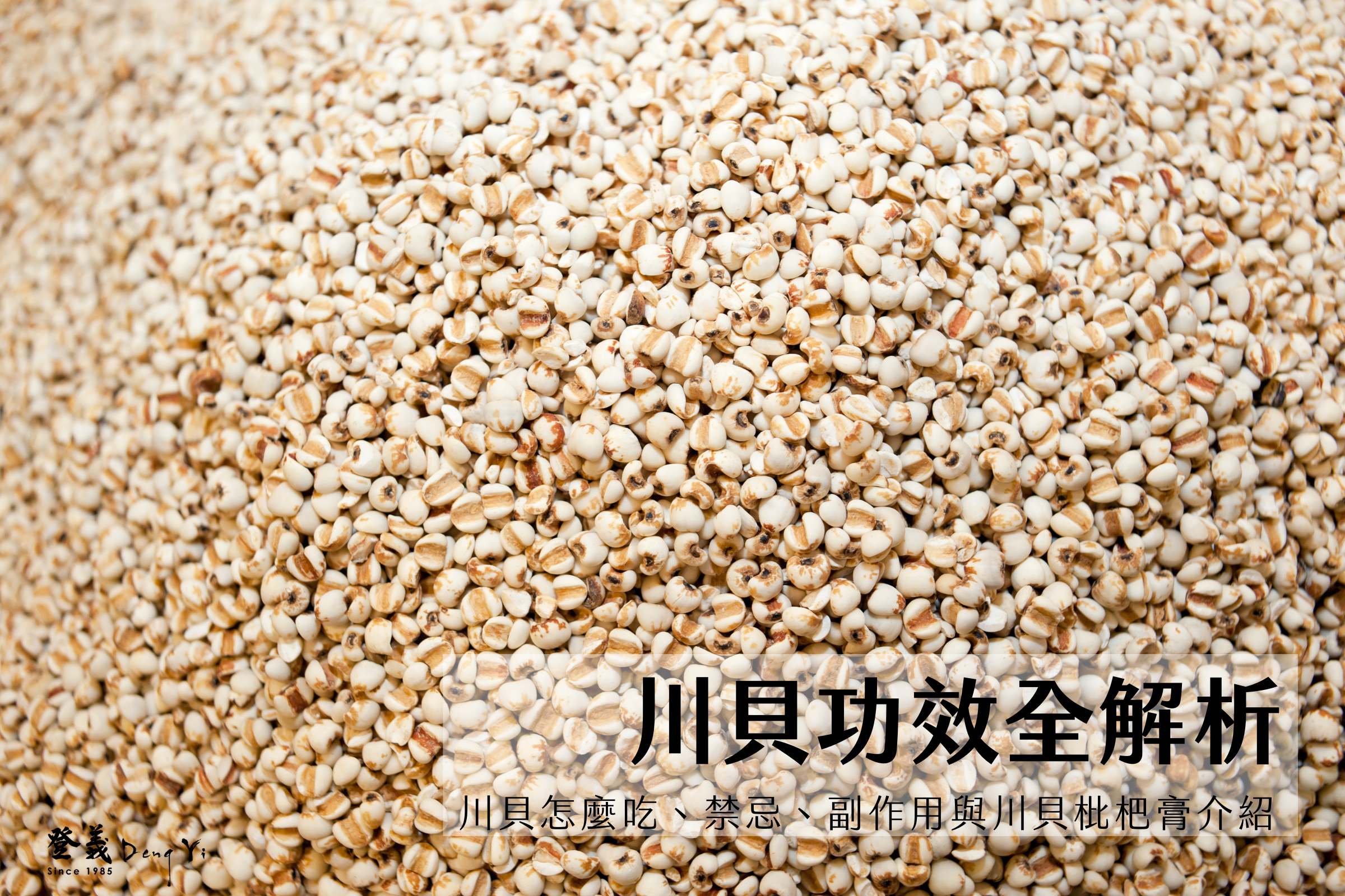 川貝功效全解析｜川貝怎麼吃、禁忌、副作用與川貝枇杷膏介紹