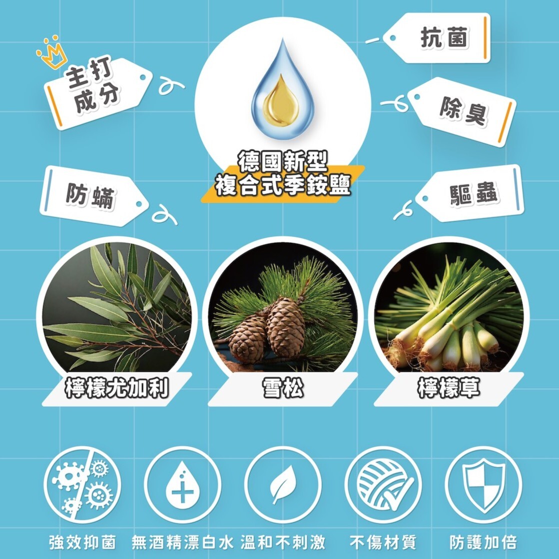 Aether依鈦｜寵物抗菌地板清潔劑 500ml 寵物專用多用途清潔劑