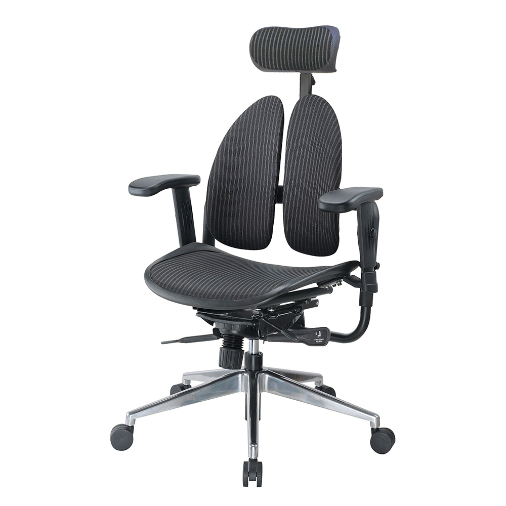 德國專利雙背護脊機能電腦椅/辦公椅/主管椅/電競椅-條紋款