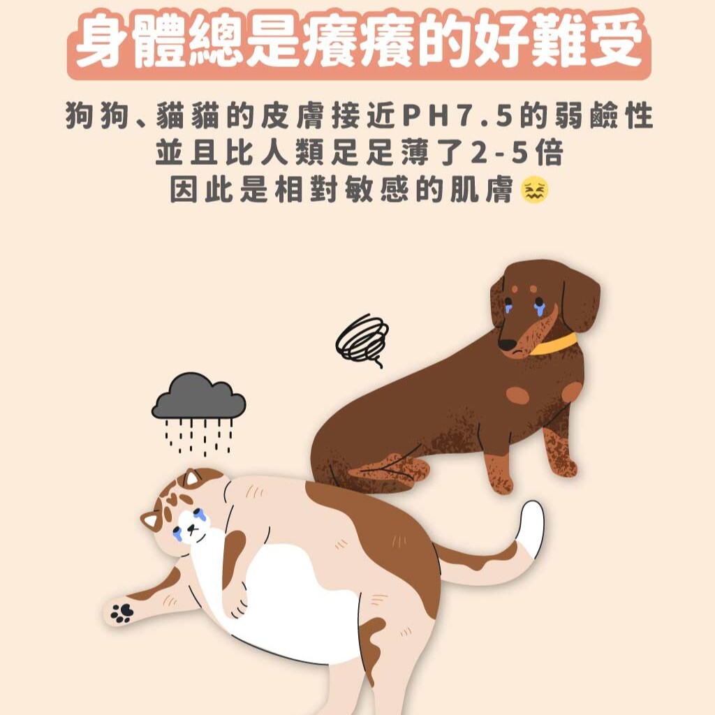 Aether依鈦｜寵物肌膚乾洗慕斯 150ml 寵物乾洗澡