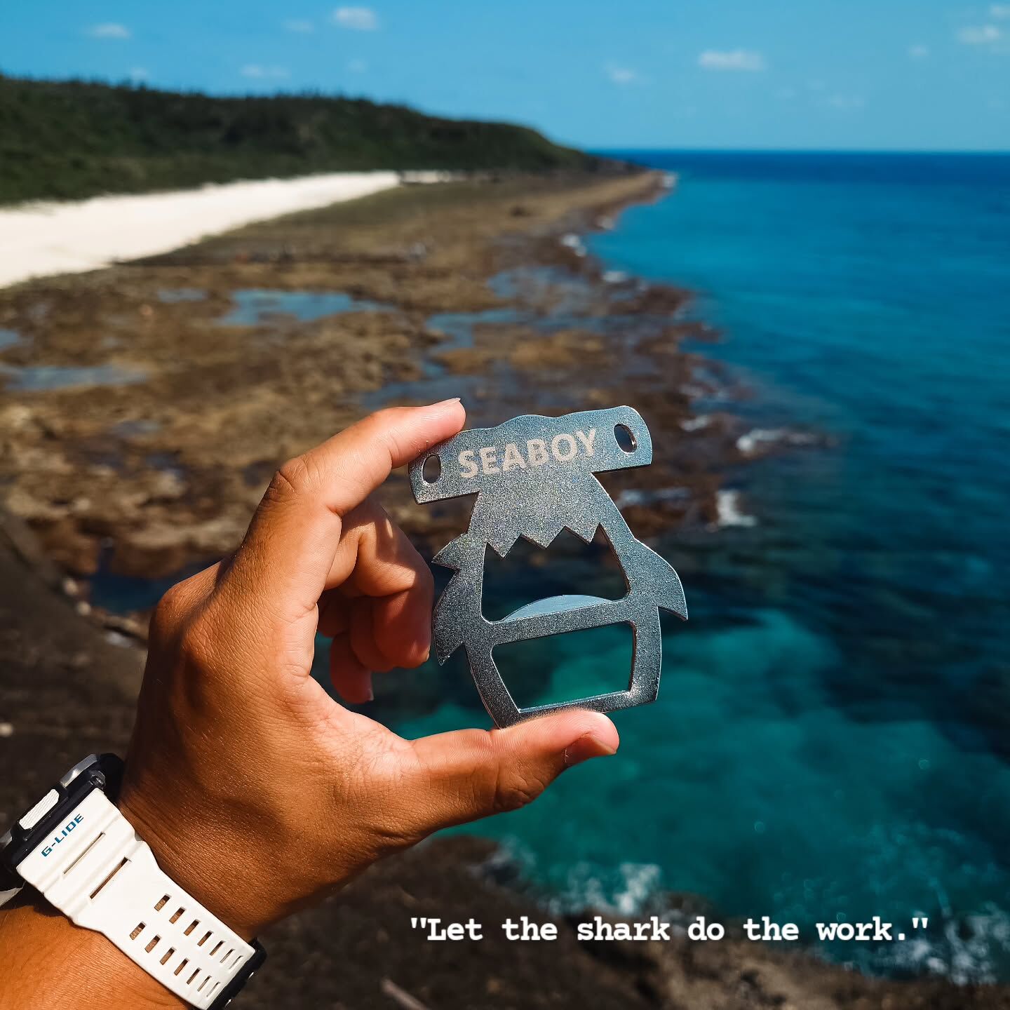 ※SEA BOY 雙髻鯊造型開瓶器