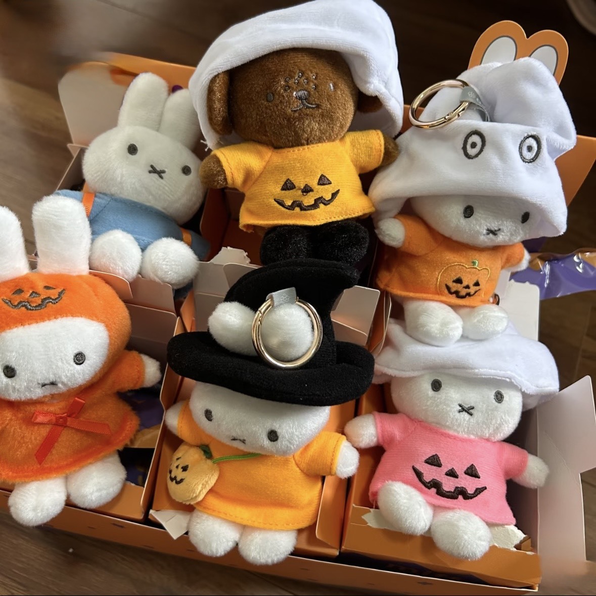 iSNEAKERS｜米菲兔 正版授權 Miffy 萬聖節裝扮系列 盲盒 6+1款隱藏版