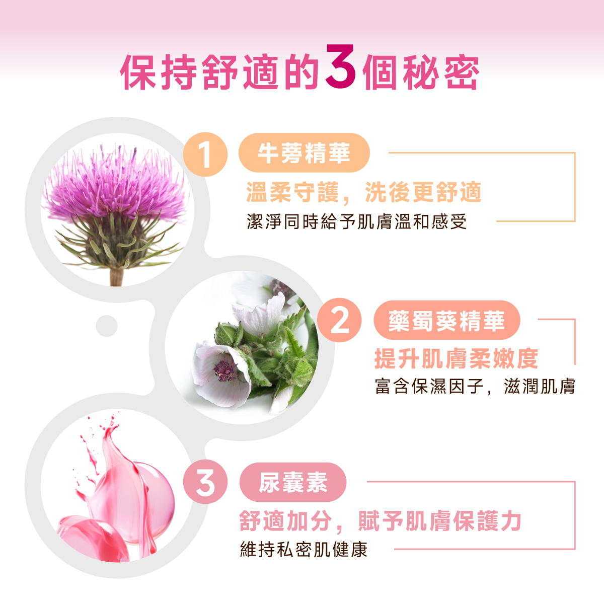 私密肌膚保持舒適的三個秘密:牛蒡精華溫柔守護,洗後更舒適;藥蜀葵精華富含保濕因子,滋潤肌膚,提升肌膚柔嫩度;尿囊素:舒適加分,賦予肌膚保護力,維持私密肌健康