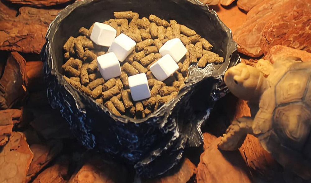 亦可放置於飼養環境中,讓爬蟲自主啃食