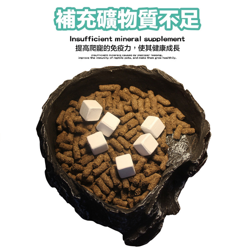 補充礦物質能提升爬寵免疫力,有效避免因營養不足導致的生長遲緩與疾病發生