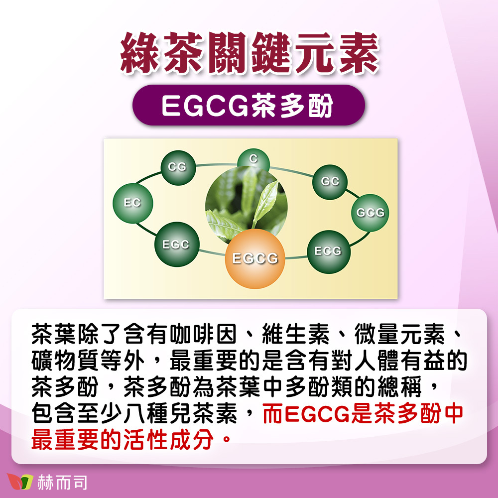 葡萄籽EGCG推薦 【赫而司】OPC-3複方養顏素葡萄籽+EGCG+C 綠茶關鍵元素EGCG茶多酚，茶葉除了含有咖啡因、維生素、微量元素、礦物質等外，最重要的是含有對人體有益的茶多酚，茶多酚為茶葉中多酚類的總稱，包含至少八種兒茶素，而EGCG是茶多酚中最重要的活性成分