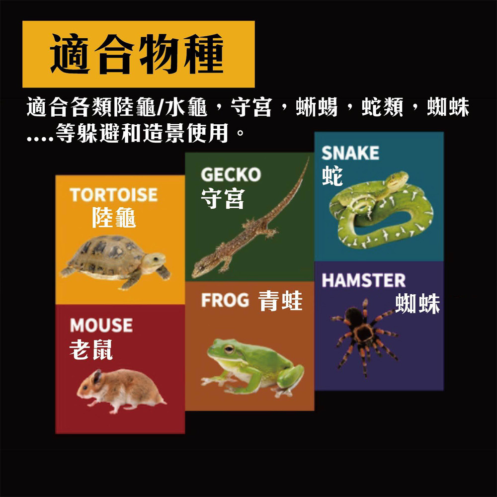 多種爬蟲兩棲寵物專用