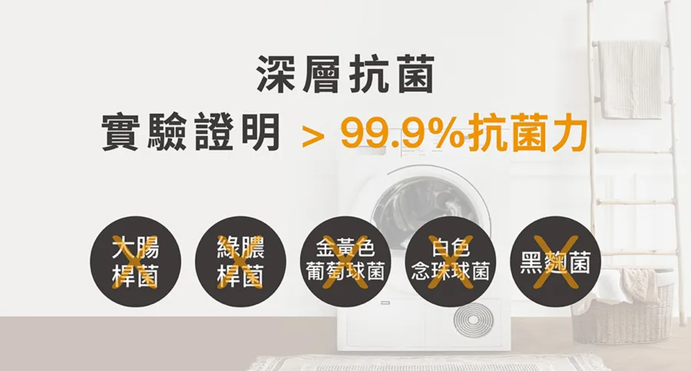 【淨毒五郎】洗衣機槽抗菌防霉除垢清潔劑 3包*150g