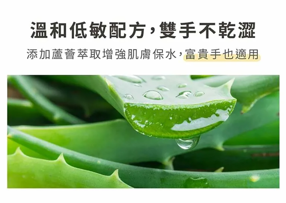 【淨毒五郎】碗盤清潔劑補充瓶1000ml