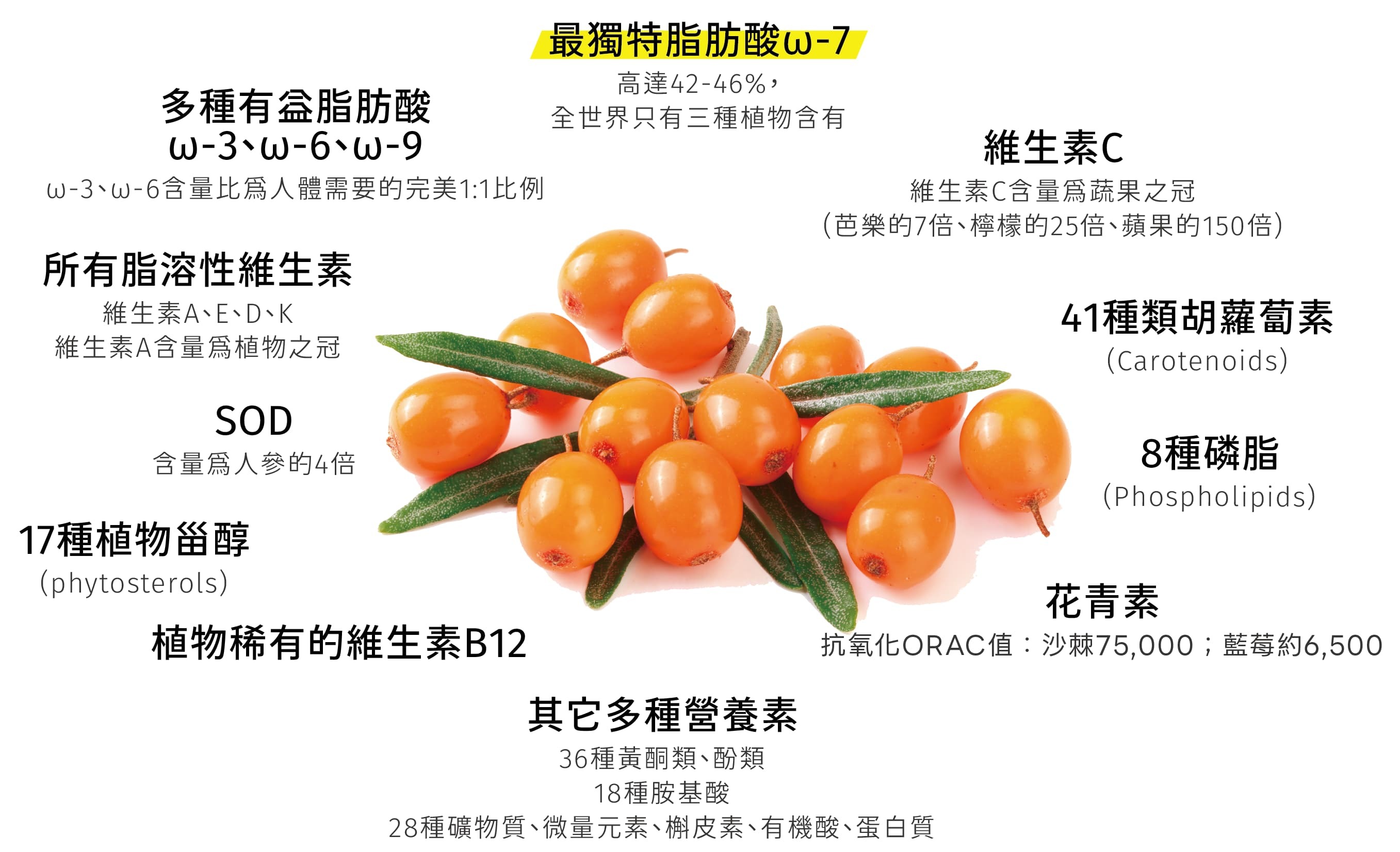 沙棘被譽為維他命之王