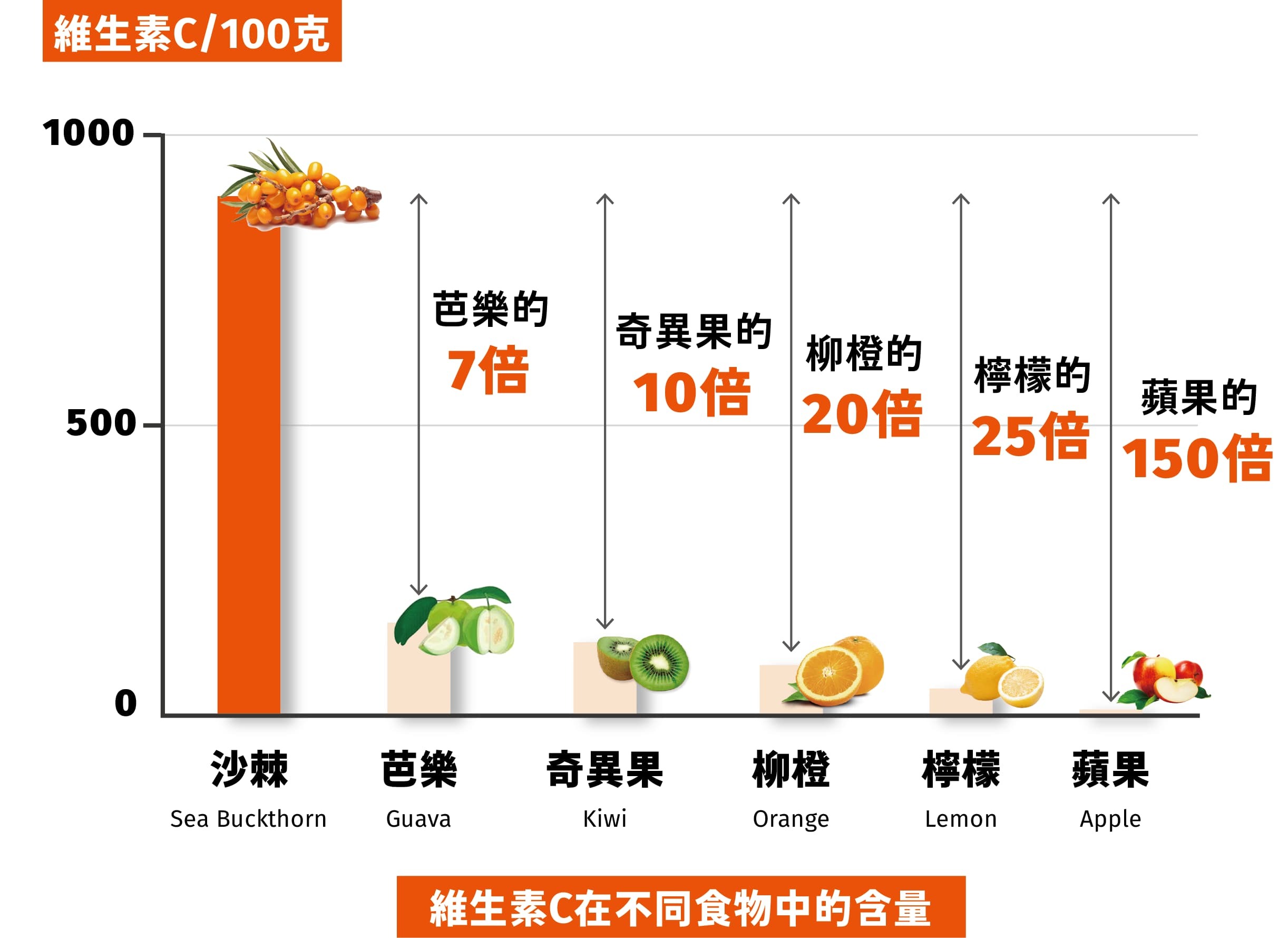 蒙古沙棘又被稱為維生素C之王 是芭樂的7倍 奇異果的10倍