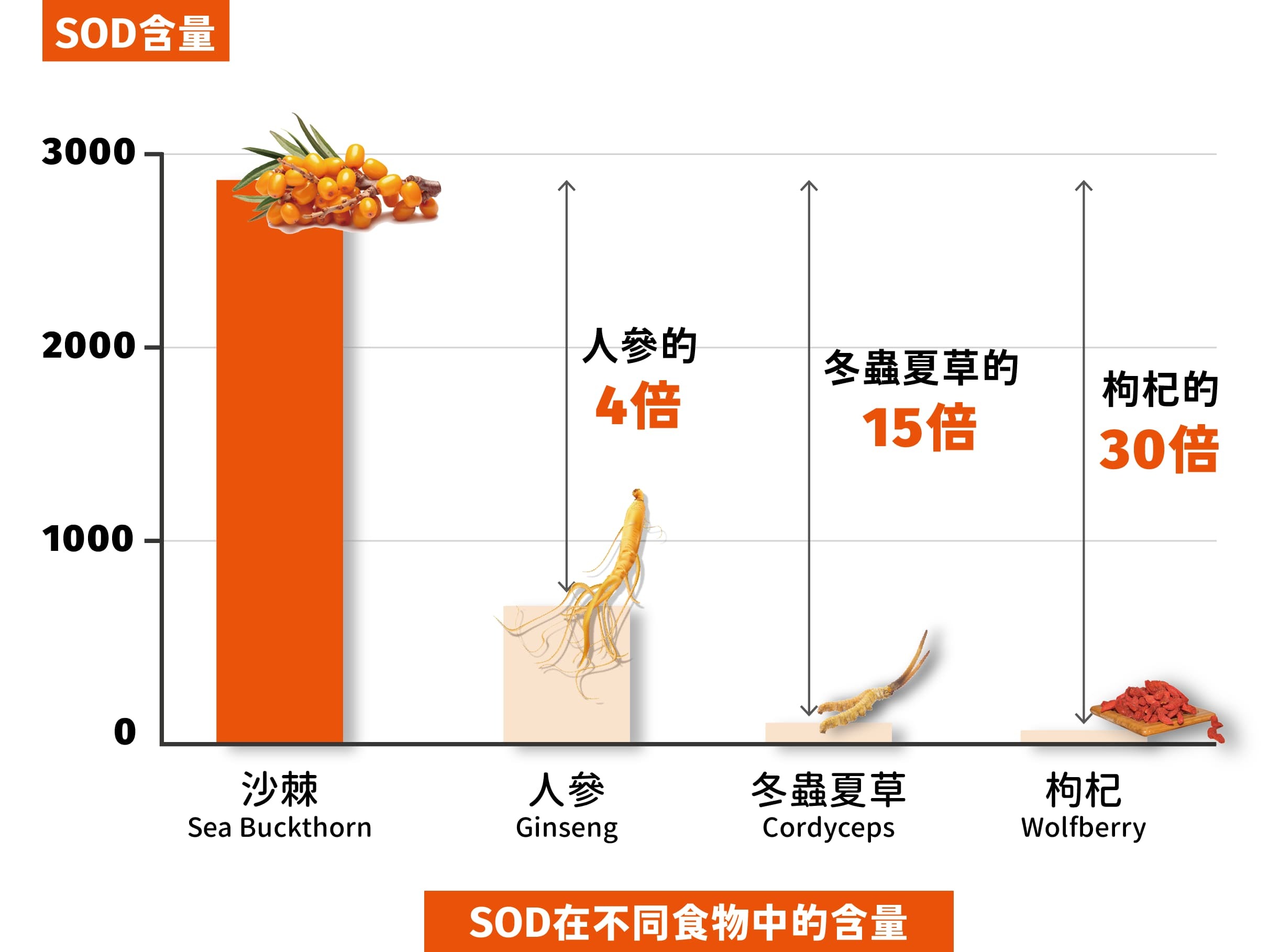 蒙古沙棘 抗氧化的SOD含量是人嵾的4倍