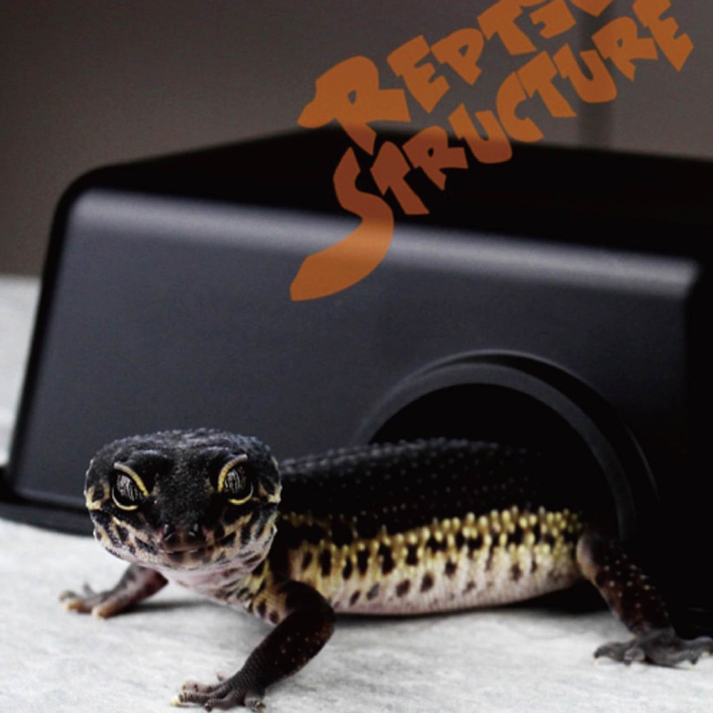 爬蟲、守宮等寵物本能上需要一個藏身的安全窩。這款躲避洞可提供休憩、隱藏與脫皮理想空間,讓寵物安心又幸福