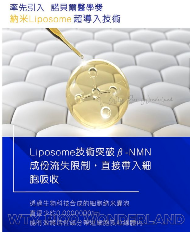 Cytologics β-NMN 18000🔸黃金版