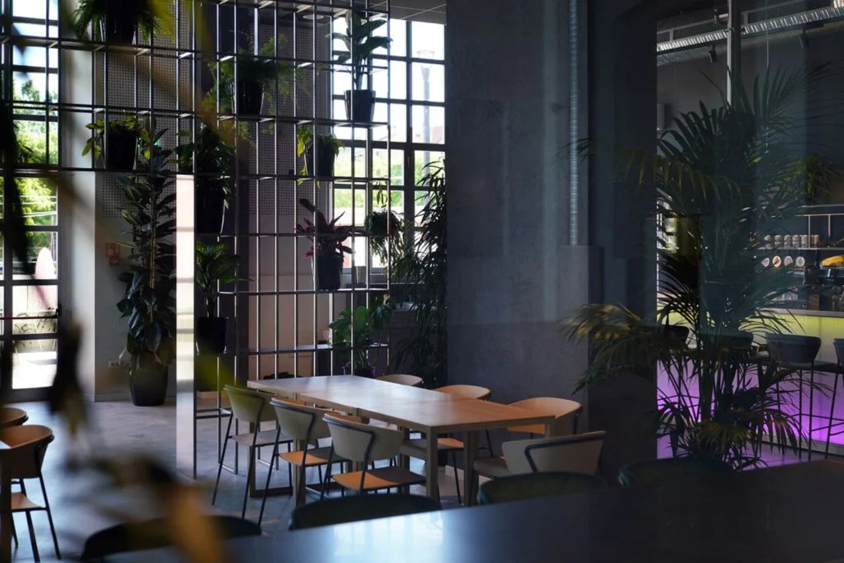 Lisa Wood 扶手款,木材坐面及椅背,淺色木紋,搭配深色室內裝潢,強烈對比,產生特殊風格。