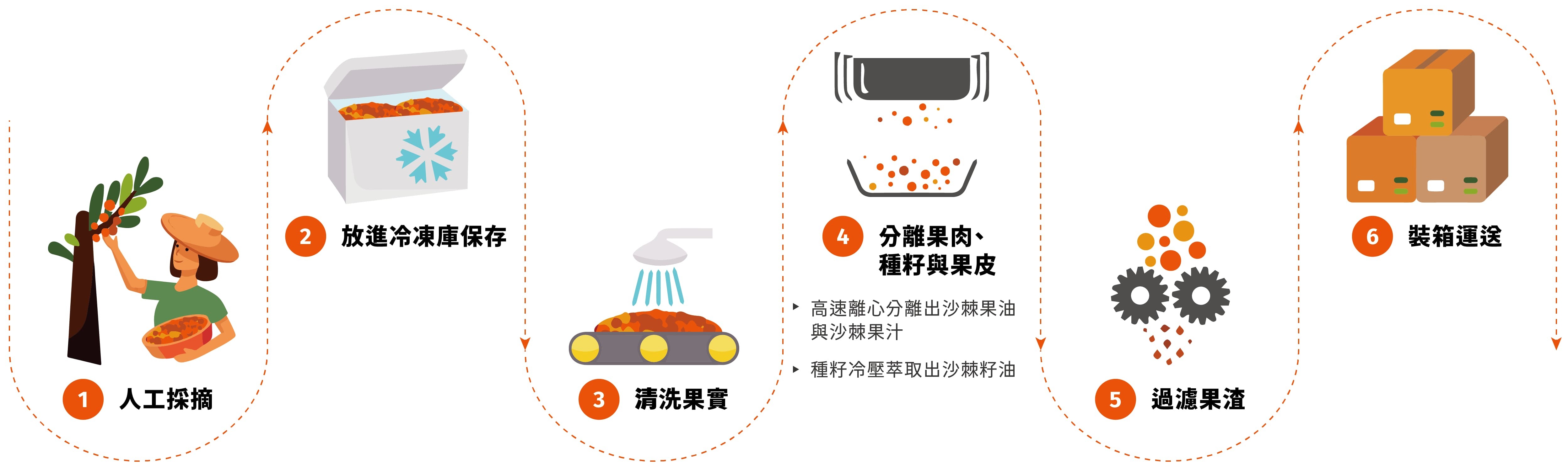 沙棘果油籽油製成