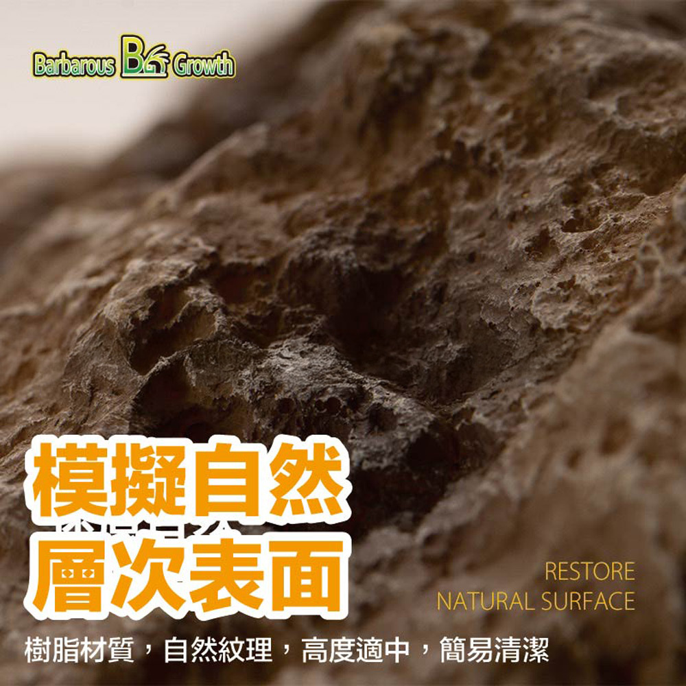 仿真岩石水食盆採用自然紋理樹脂材質，模擬自然層次表面