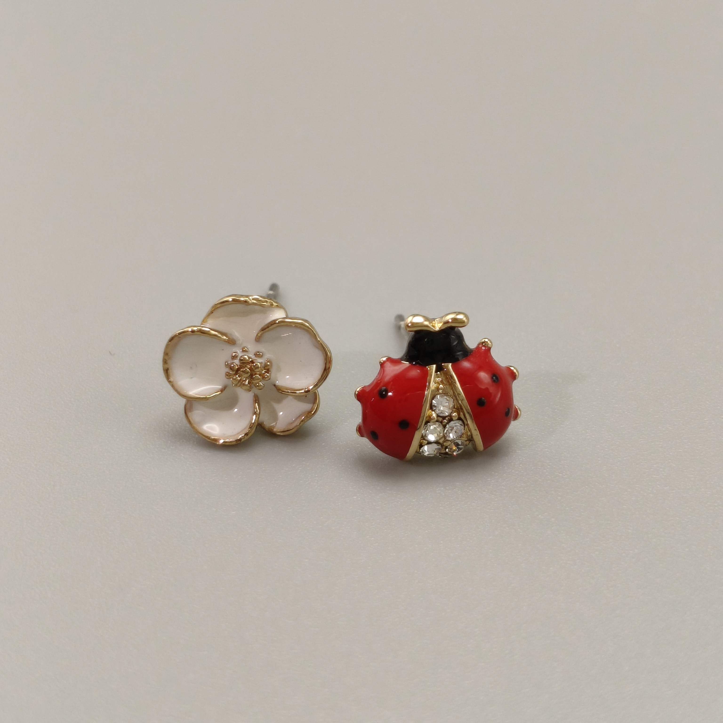 瓢蟲與小花‥Ladybug & flower