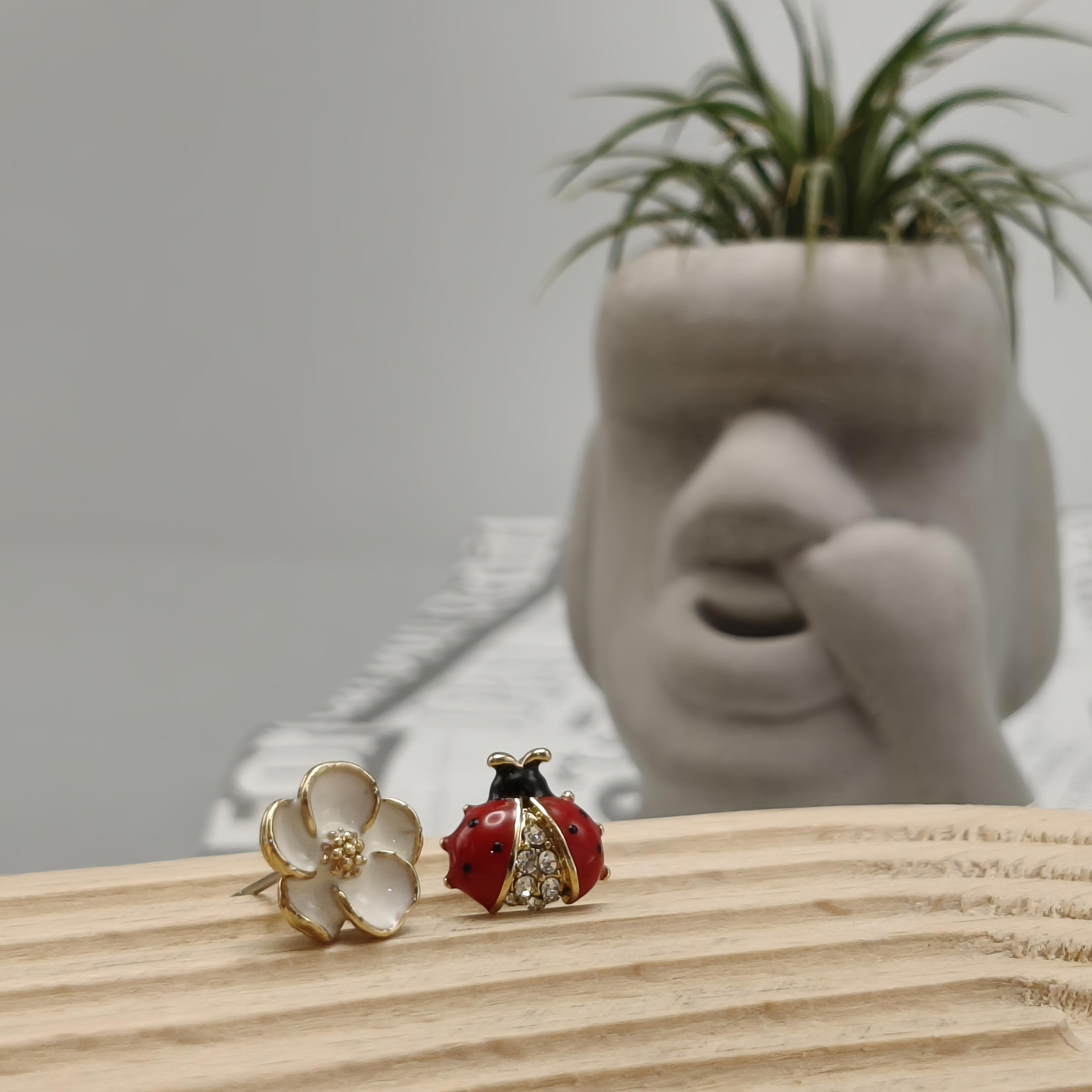 瓢蟲與小花‥Ladybug & flower