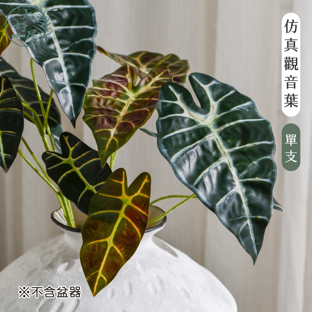 仿真觀音葉類 (海芋葉類)
