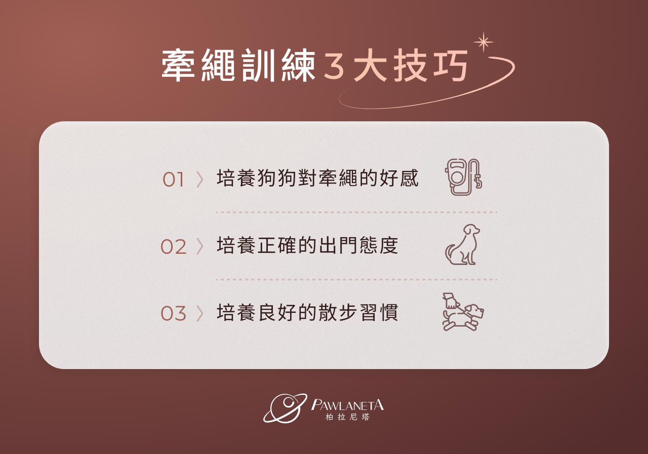 牽繩訓練 3 大技巧