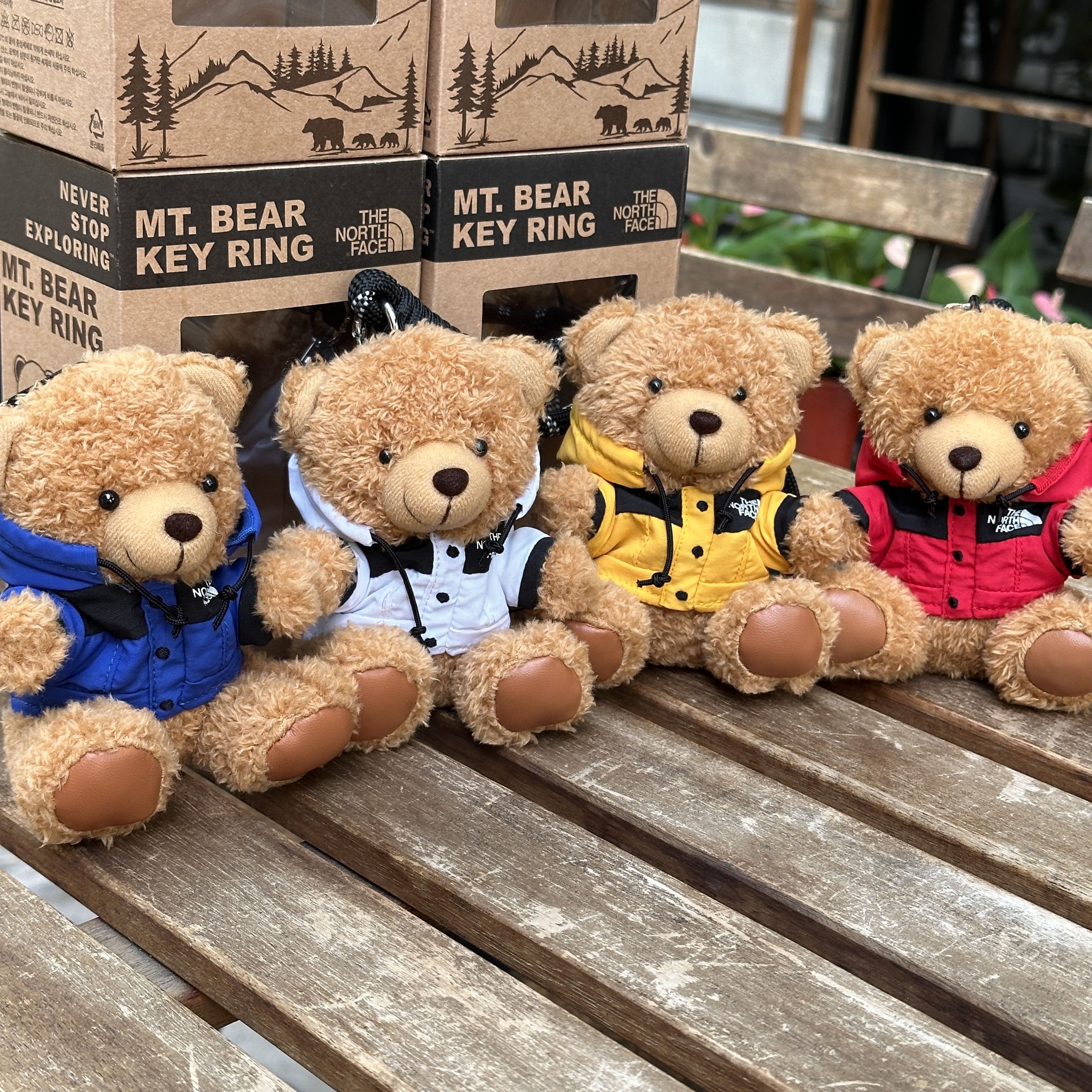 The North Face MT BEAR KEYRING 北臉小熊鑰匙圈吊飾NA5AR05