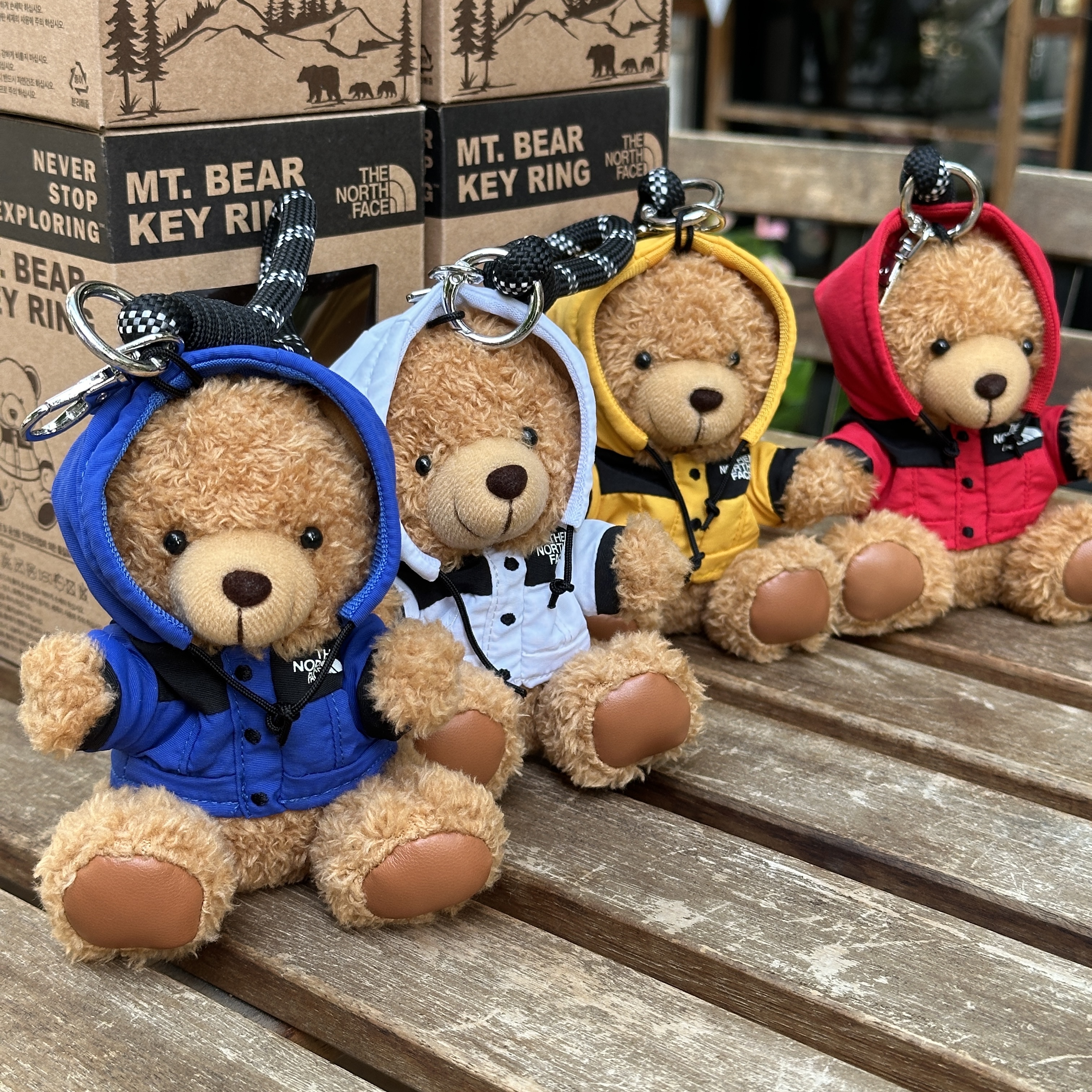 【現貨】The North Face MT BEAR KEYRING 北臉 小熊 鑰匙圈 吊飾 NA5AR05