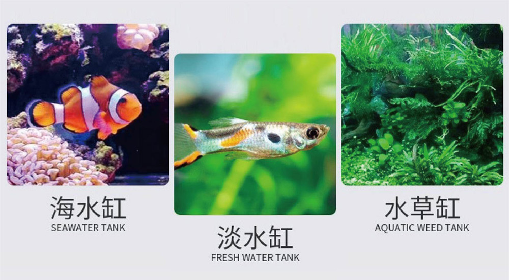 此溫度貼片適用於各類魚缸、水族箱、爬蟲缸和兩棲動物飼養環境