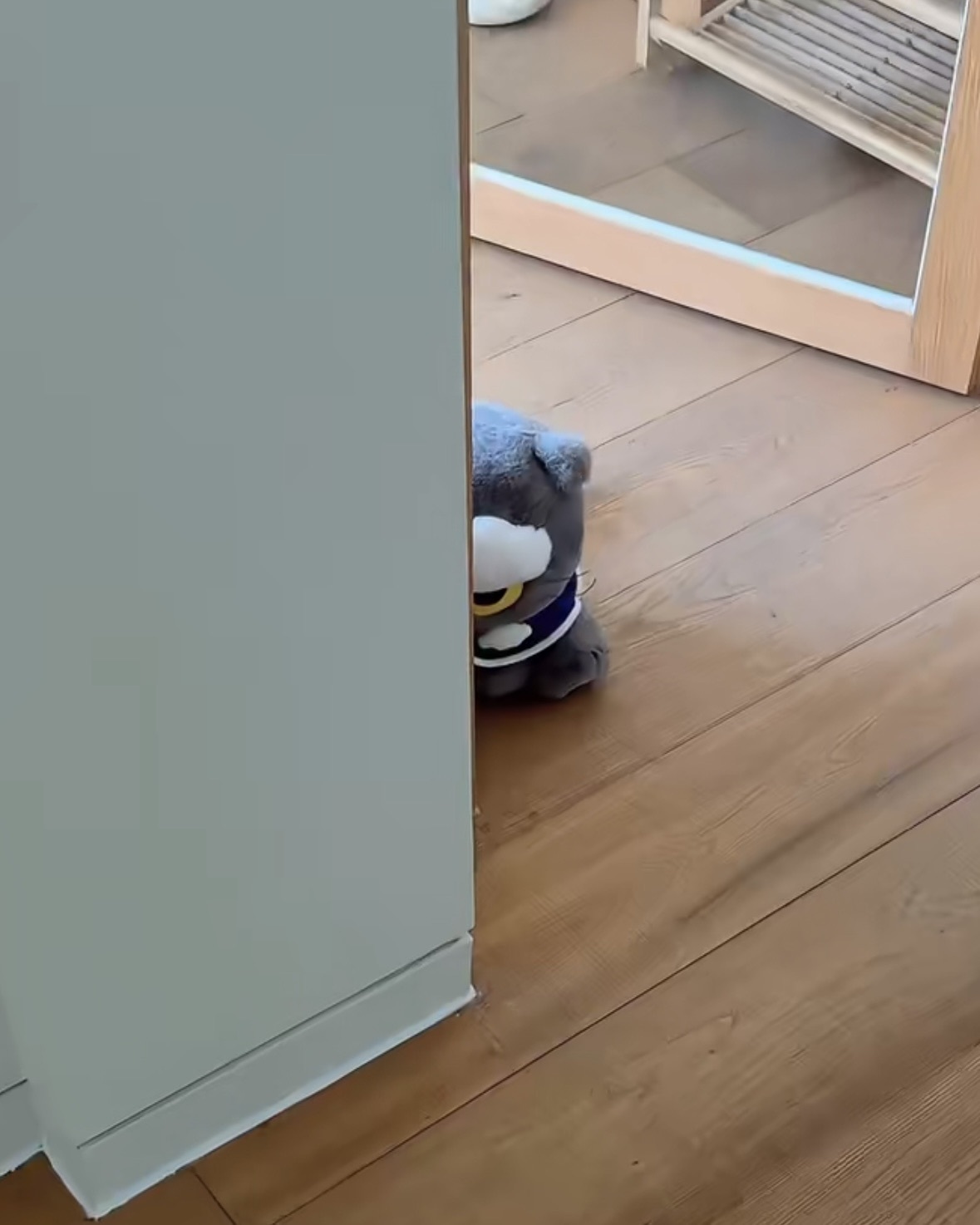 <超扯大降價>Zo&friends Zoa G-Dragon GD 權志龍 毛茸茸 灰貓 娃娃-中