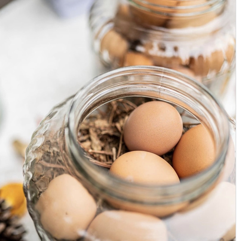 生態放牧雞蛋(10入)