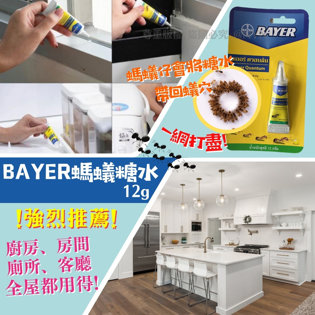 泰國 BAYER 超有效螞蟻糖水