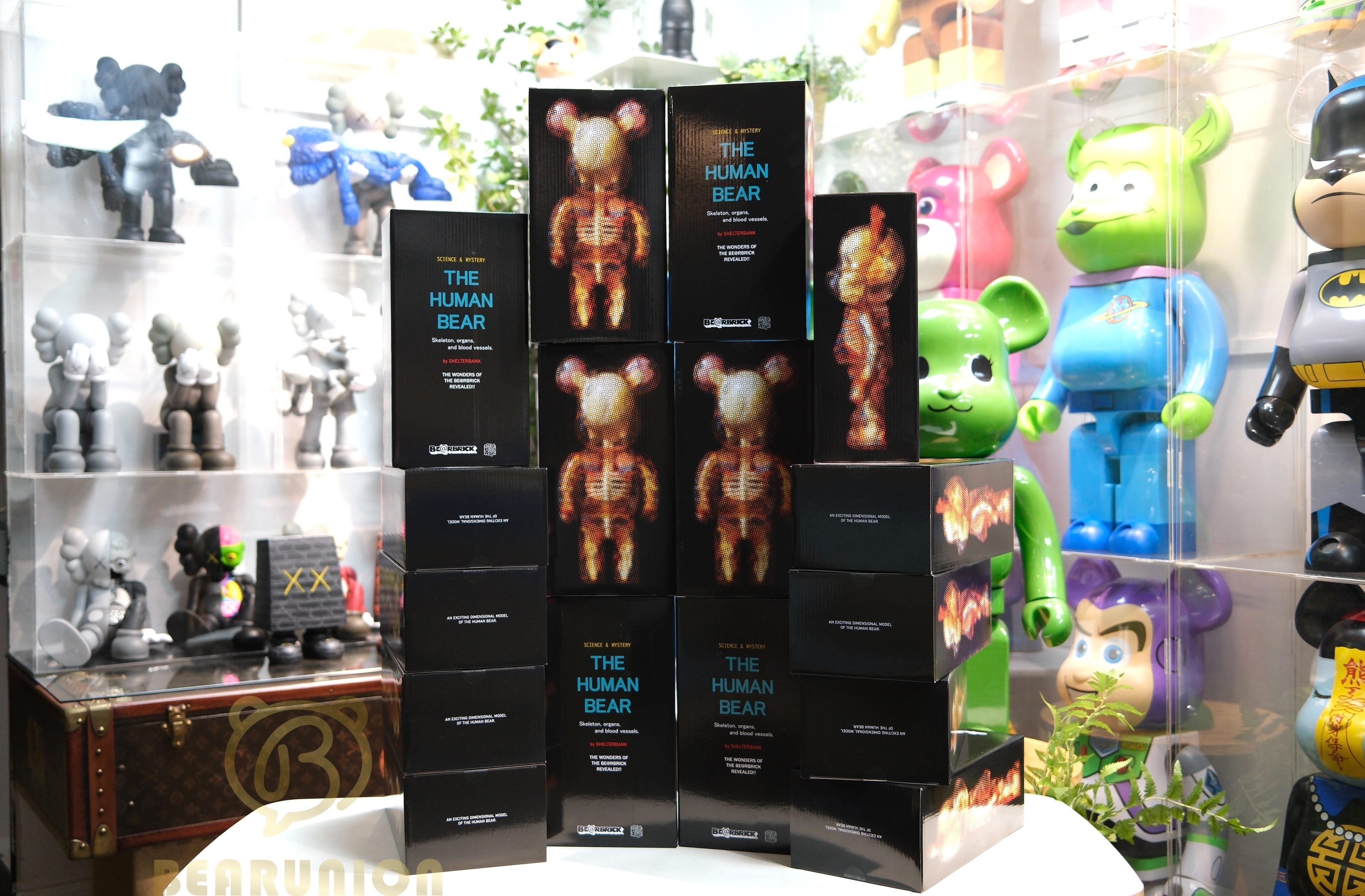 🥇現貨🥇Bearbrick 400% SHELTERBANKTHE HUMAN BEAR