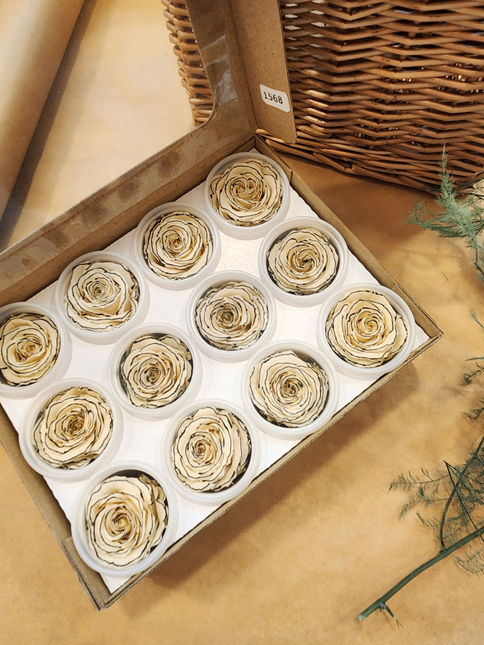 【特價】Rose Amor (12輪 小顆) 香奈兒