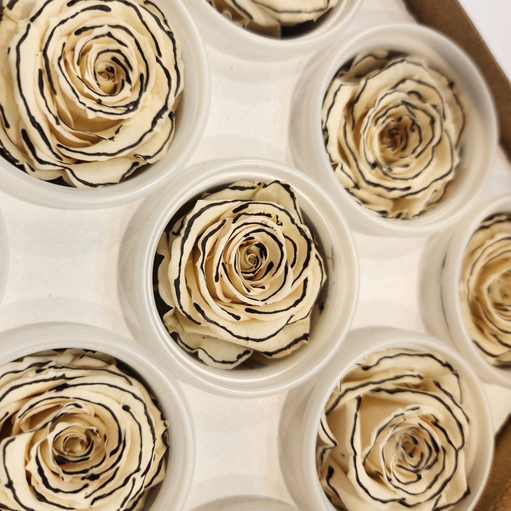 【特價】Rose Amor (12輪 小顆) 香奈兒